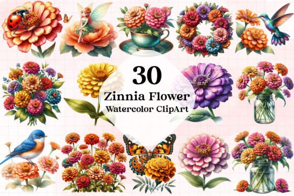 Download Zinnia Flower Watercolor Cliparts - Zinnia flower watercolor clipart Collection