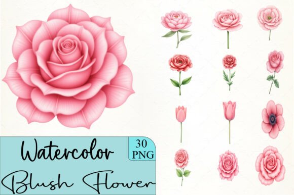 Download Blush Flower Clipart - Blush Collection