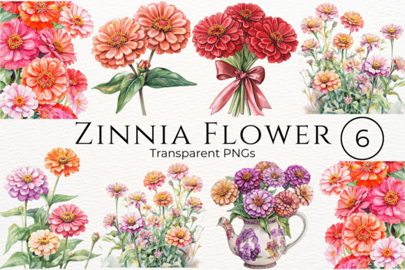 Download Zinnia Flower Watercolor Cliparts - Zinnia flower watercolor clipart Collection